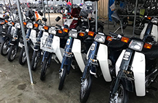 bikes image 6